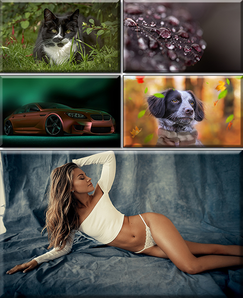 Quality Wallpaper In High Resolution. Part 345
