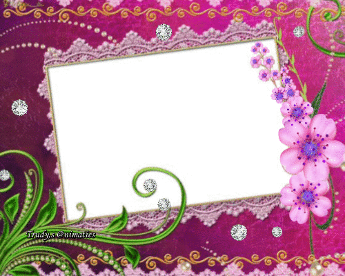 1.gif