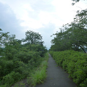 P1330330