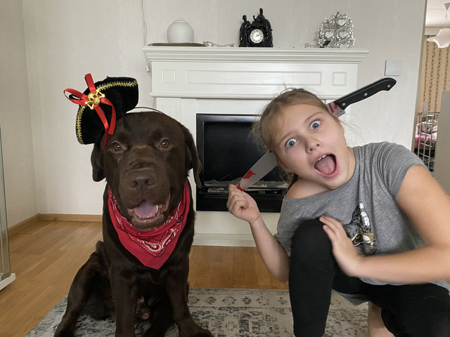 2-F37685-E-E482-48-A8-BB6-F-E68-D70046-A