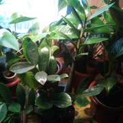 IMG-20220124-152158