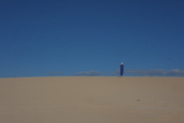 DSCF8534