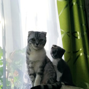 IMG-20220128-WA0006