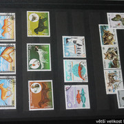 IMG-2246