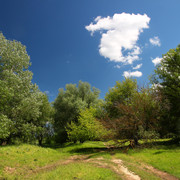 10a00075m