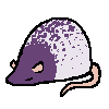 rat1334.png