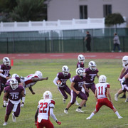 IMG-2993