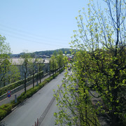 DSC-0022