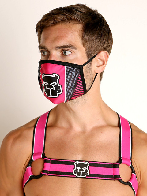 Pink-Harness.jpg