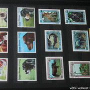 IMG-2255
