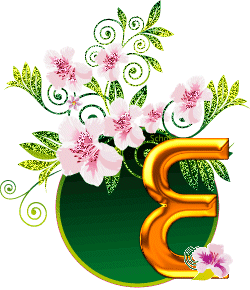 e.gif