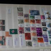 IMG-3746