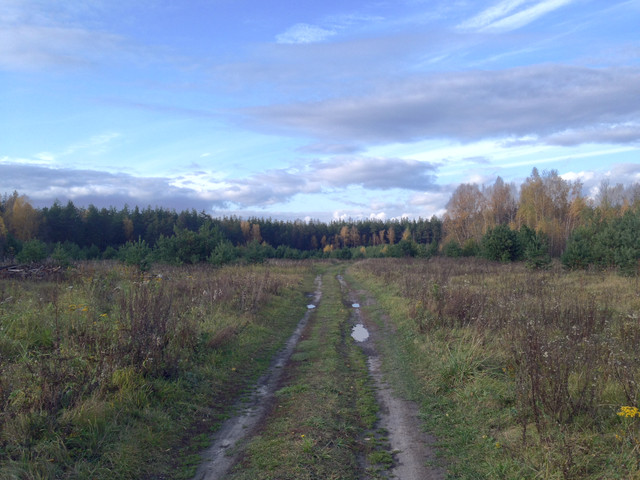 IMG-4375.jpg