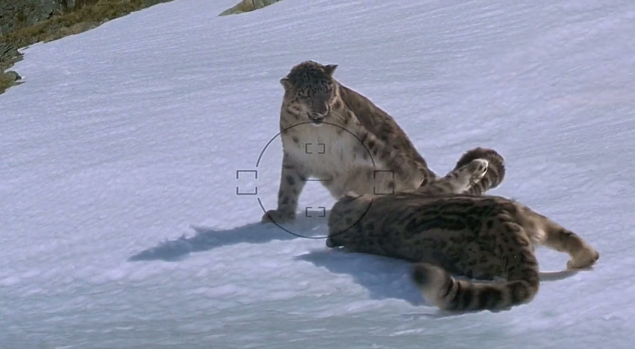 Vertical Limit Screenshot