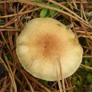 P1130641