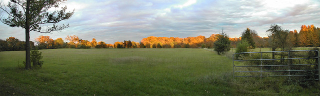 Fall Light