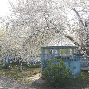 2a0267m