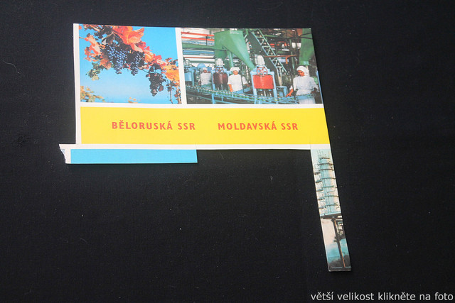 IMG-4517.jpg