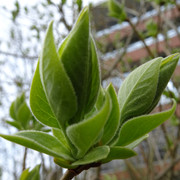 DSC00880