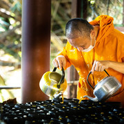 IMG-9339