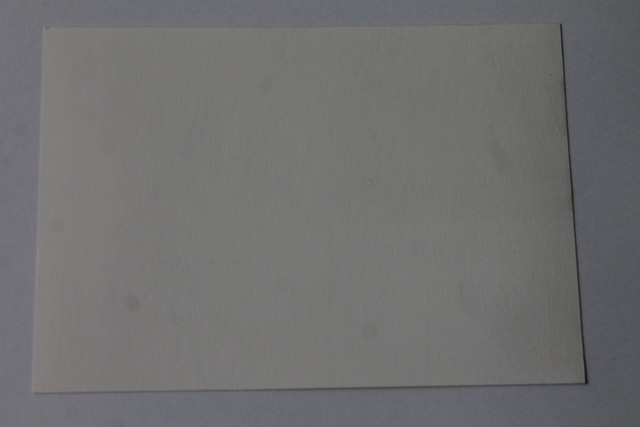 IMG-4987.jpg