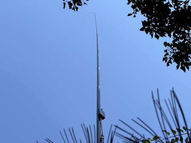 IMG-0179.jpg