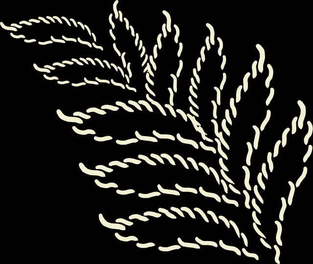 63fa2754fcccf0e828cf119495d515cd.png