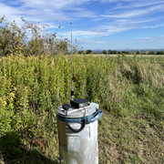 IMG-3302