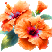 dbfa1215a50db9a1fd78be4c2fc51370
