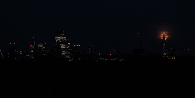 DSCF7991(1)