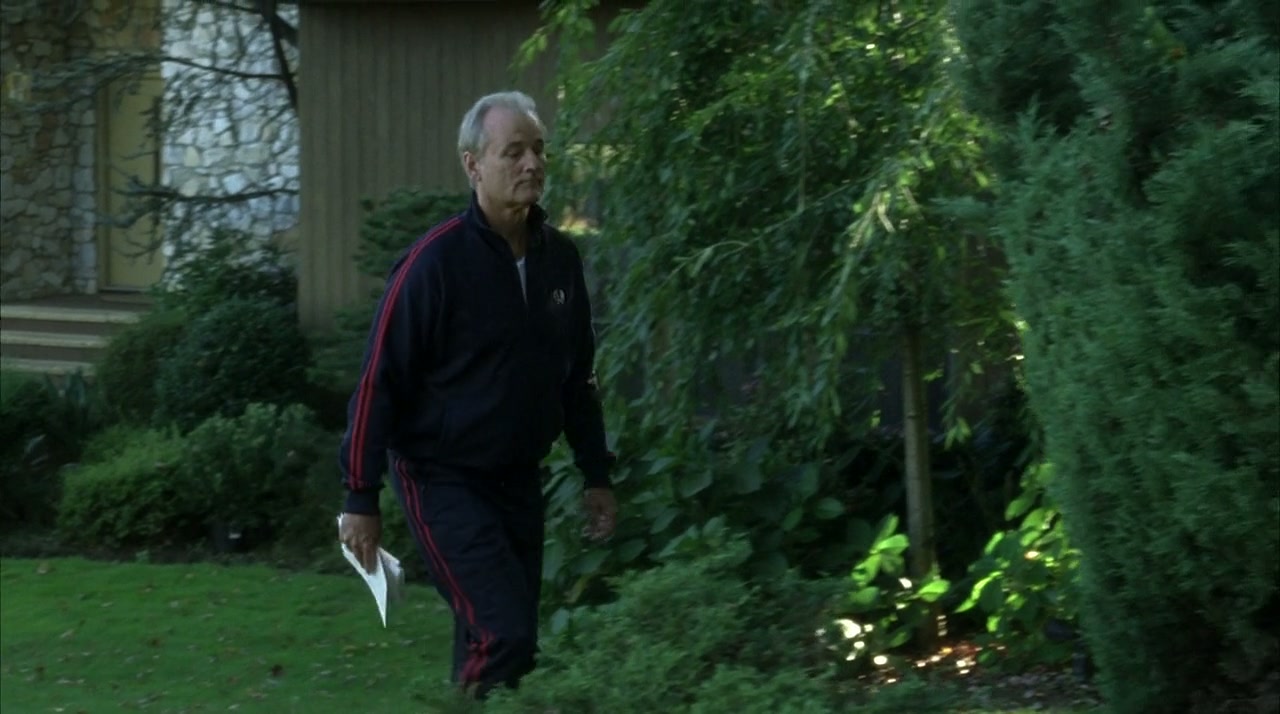 Broken Flowers Screenshot
