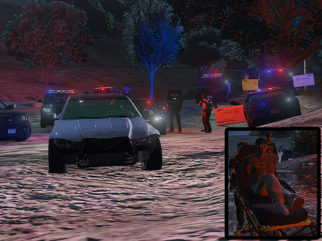 cops1