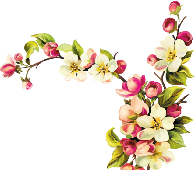 Flowers-2.png