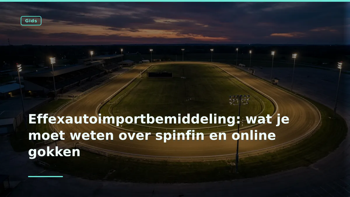 Effexautoimportbemiddeling: wat je moet weten over spinfin en online gokken