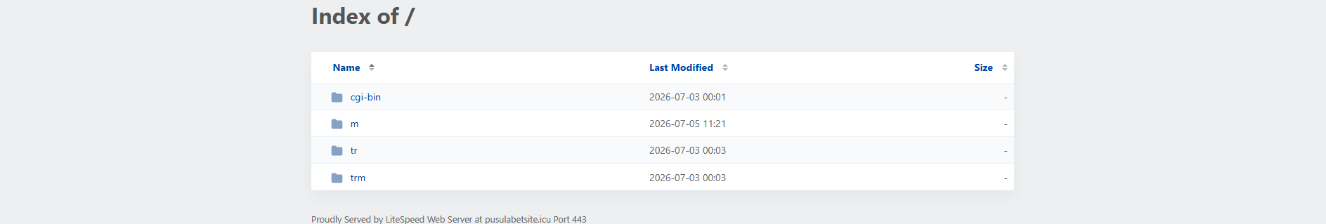 Forensic screenshot of pusulabetsite.icu showing the phishing page layout