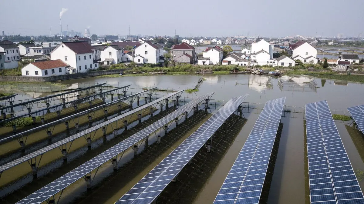 China's Green Technology Exports See Significant Rise