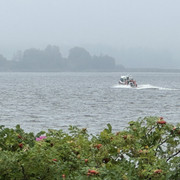 IMG 4382