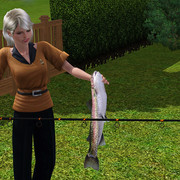 Screenshot 27