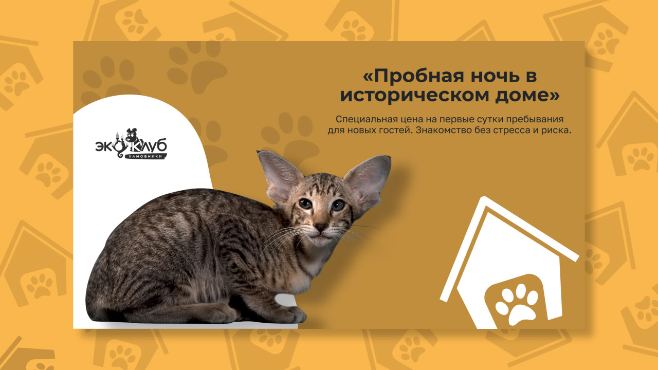 Питомцы в ЭкоКлуб