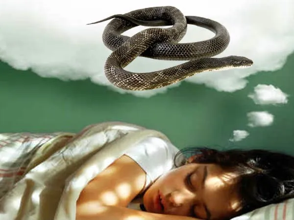 snake in dream meaning