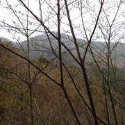 2009-03-25-062