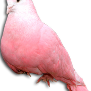 653