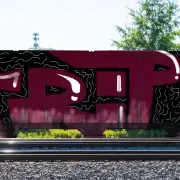Graffiti artwork by tripy