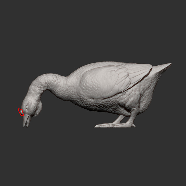 ZBrush-Document