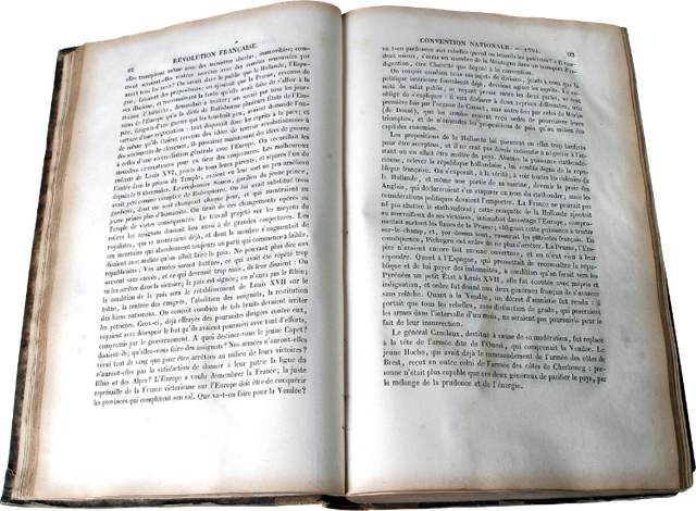 31