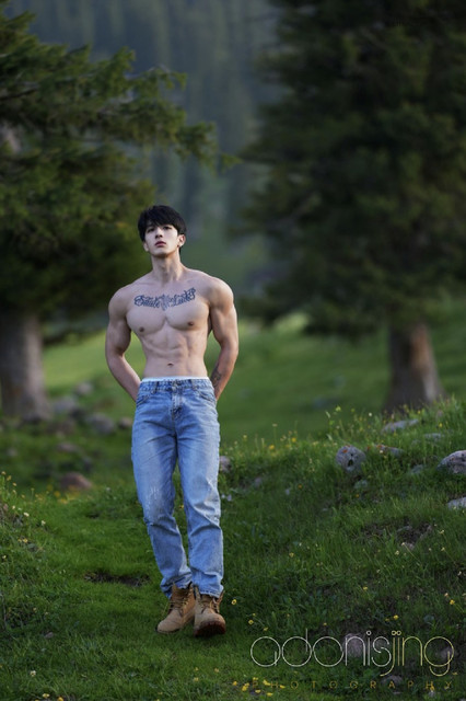 Adonis 01 71