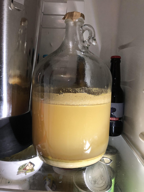 frigo