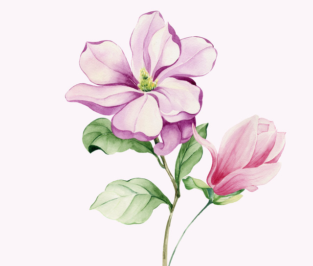 shutterstock-1142442266.jpg