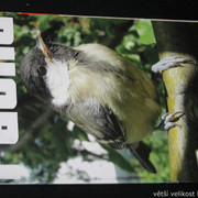 IMG-7724