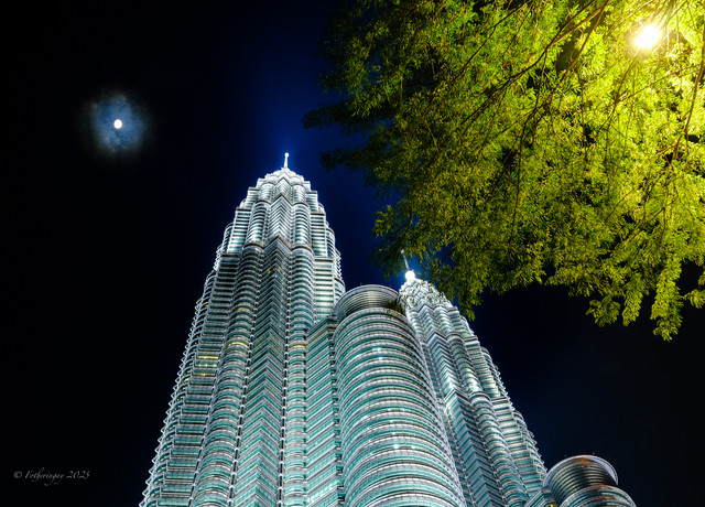 DSF3292-Edit